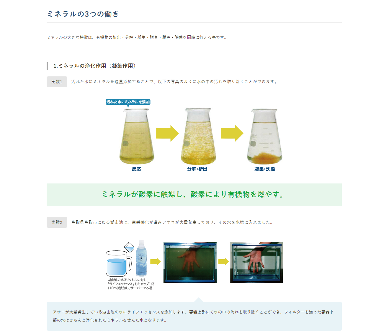 エコウォーター 交換用フィルター ゼオライト セット ポタポタ倶楽部+